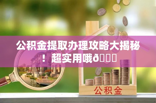 娄星公积金提取办理攻略大揭秘！超实用哦😉