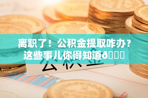 娄星离职了！公积金提取咋办？这些事儿你得知道😎