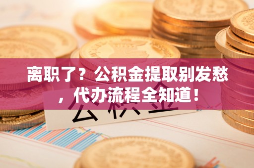 娄星离职了？公积金提取别发愁，代办流程全知道！