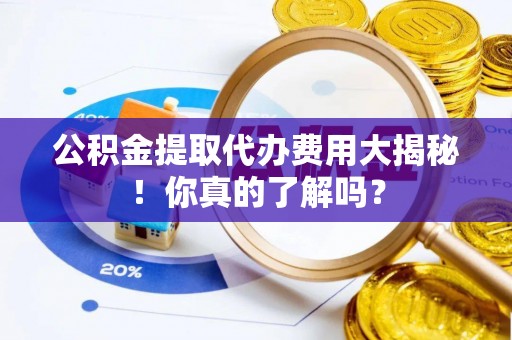 娄星公积金提取代办费用大揭秘！你真的了解吗？