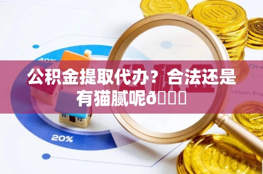 娄星公积金提取代办？合法还是有猫腻呢😏