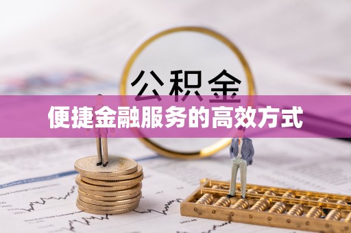 娄星便捷金融服务的高效方式